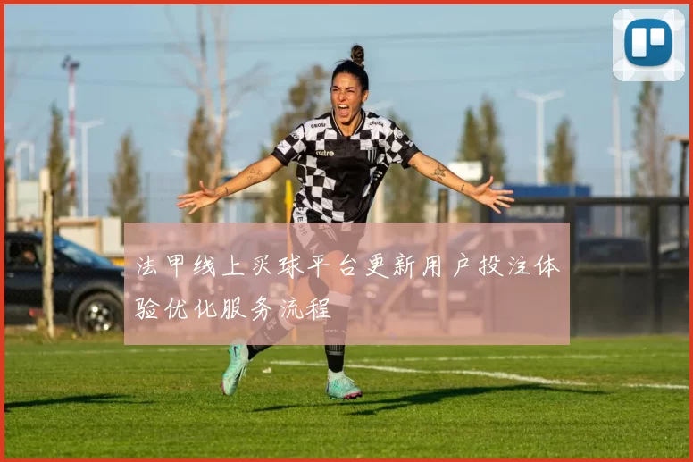 法甲线上买球平台更新用户投注体验优化服务流程