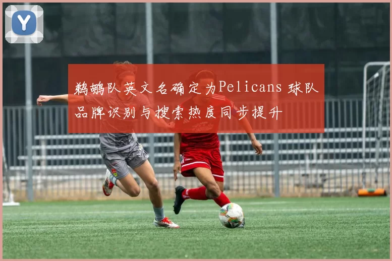 鹈鹕队英文名确定为Pelicans 球队品牌识别与搜索热度同步提升