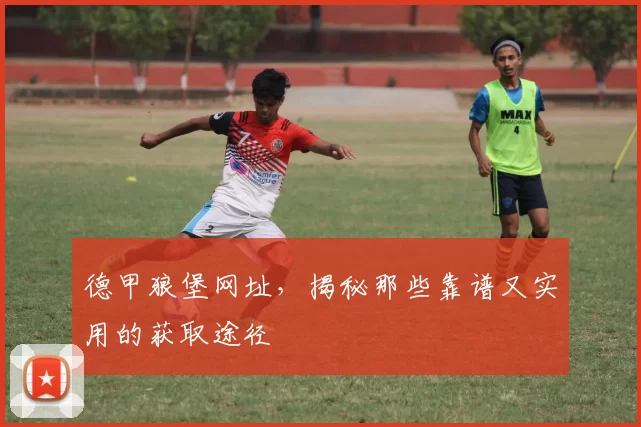德甲狼堡网址，揭秘那些靠谱又实用的获取途径