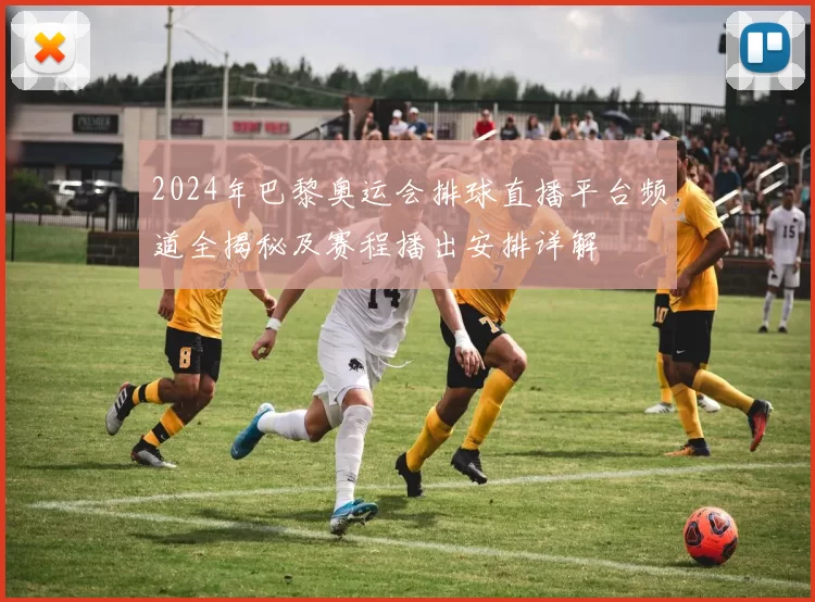 2024年巴黎奥运会排球直播平台频道全揭秘及赛程播出安排详解
