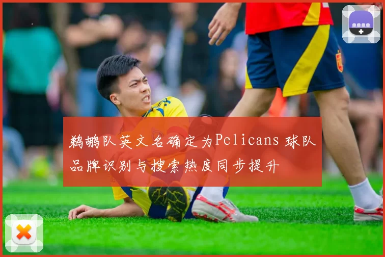 鹈鹕队英文名确定为Pelicans 球队品牌识别与搜索热度同步提升