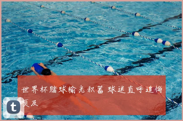 世界杯赌球输光积蓄 球迷直呼追悔莫及
