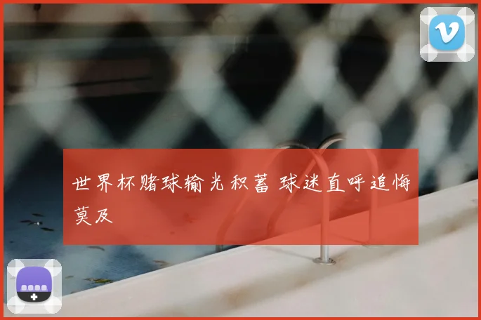 世界杯赌球输光积蓄 球迷直呼追悔莫及