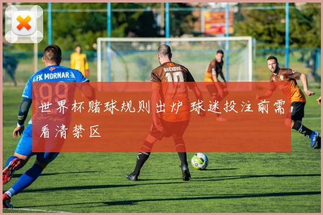 世界杯赌球规则出炉 球迷投注前需看清禁区