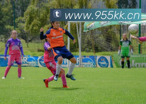 Kaiyun (中国官方网站) - 官方认证的服务平台发展历程